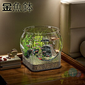 卓上金魚鉢 金魚水槽 ミニ水槽 水槽 透明 花瓶 ミニ水槽 飾り 観葉植物 自宅 オフィス リビングに最適 水槽 小型金魚テーブル 水槽 大容量 ファッション 透明水槽 家庭用ペット用品 卓上 飾り付け おしゃれ