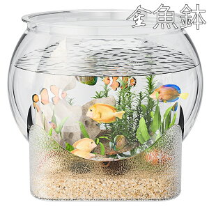   ~j   ԕr ~j  ϗtA  ItBX rOɍœK  ^e[u  e t@bV  ƒpybgpi  