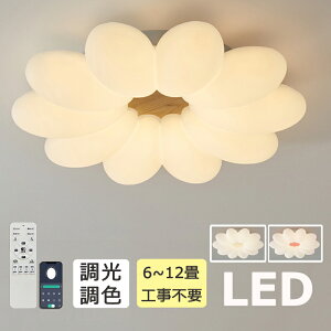 y5Nۏ؁z V[OCg t[ LED  F q  Ɩ Ԃт Rt VƖ 6 8 10 V䓔 Eh t[Y q rOƖ  J