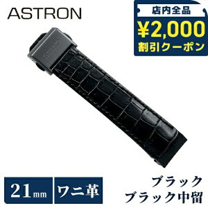 _2000~OFFN[|+9{^ ZCR[ AXg ւoh   vxg 21mm NR_C v uh rv Y SEIKO ASTRON R7X13DC ubN 