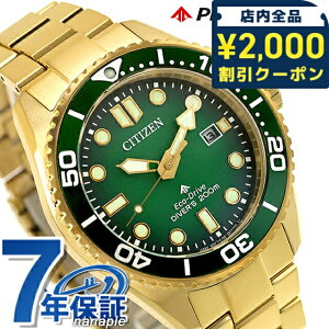 _2000~OFFN[|+9{^ V`Y v}X^[ } _Co[200m GRhCu rv uh Y _Co[YEHb` \[[ CITIZEN PROMASTER BN0262-59W AiO O[O