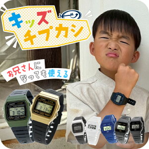 _ql܂ŎgLbY`vJV^ LbYrv LbYJVI qp j̎q jq JVI rv `[vJVI fB[X CASIO F-91 `vJV uh  h  y 