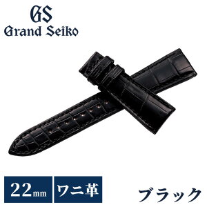 OhZCR[  ւoh  vxg 22mm NR_C v uh rv Y Grand Seiko RG01W22BK ubN 