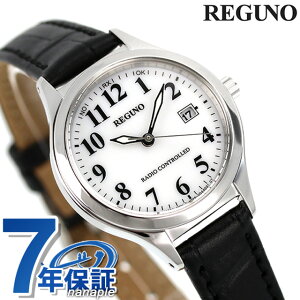 V`Y Om \[[ebN dg\[[ rv \[[dgrv \[[dgv uh fB[X vxg CITIZEN REGUNO KS1-210-20 AiO Vo[ ubN  v[g 