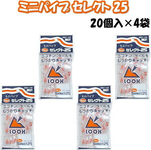 ~jpCv ZNg25 y 20 zN JԂgp\ [P[Xt 7RabbitRiograndeIWiXebJ[t yWo^ԍ 6667215z