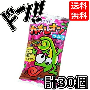 y50̂N[|tIzJIl 20g×30 LbR[ JI l lَq ނ   ʉَq lߍ킹  ʉَq َq q ʉَq 