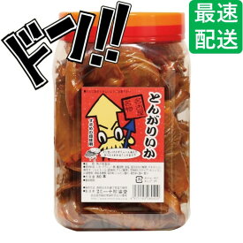 【5と0のつく日限定クーポン付！】とんがりいか 80本 一十珍海堂 いか おやつ 珍味 おつまみ 駄菓子 お祭り 定番 お徳用 するめ 魚介乾製品 するめの耳 エンペラー 宴会 いちじゅうちんかいどう 歯ごたえ 祭 縁日 国内生産 イベント 子供会 縁日 遠足 学園祭 駄菓子屋