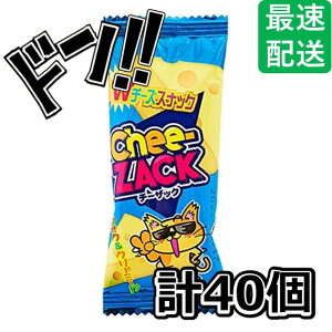 `[UbN(1 40) ₨ TNTN N[~[ `[YXibN ܂  ʉَq ii lC  Cxg q َq ʉَq  v[g Mtg p  ܂