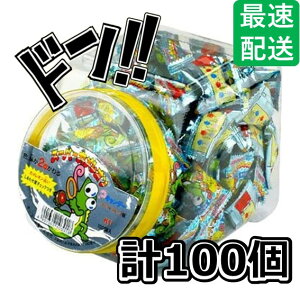 X[p[JILfB[ 100 LbR[ FAς JI肢t ʉَq  A  LfB[ Lf[  Ɩp p  َq q ii Ղ 