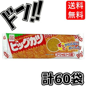 Big Katsu rbOJc XyV\[X 60ܓ  rbNJc ʉَq ܂  َq َq v[g q Cxg  qbg a     J