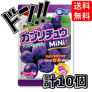 Ku`E MINI O[v 28g×10 `[CO  A\[g R[ \[_ ܂Ƃߔ O[v \[_ ASMR l Zbg AW  َq Ԃǂ