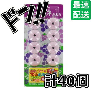 tGlԂǂ 8×40 RX    tGV[Y ~j`A ܂ J ̋󂢂l qɐlC ʉَq Vׂ ԏi ܂t  y