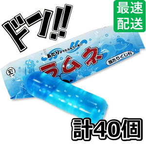 thN }S 155ml l hNi40܁jhNn̑ʉَq }SHi َq ʉَqhN  ޑʉَq pC pCibv O[v Ԃǂ R[ X|h 