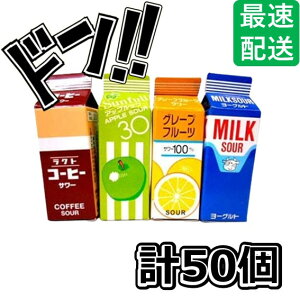 JX T[pbN 50 pbN^̃T[~c R[q[T[ [Og  O[vt[c ̑i NX}X ii َq  ʉَq q v[g Cx