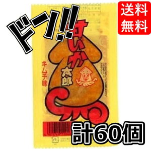 ÂY L` 30 ×2Zbg ( ܂Ƃߔ 60 )ٓ  Vs Rrj  g V[g L` ߂񂽂 l 󂢂 ^  ̂܂