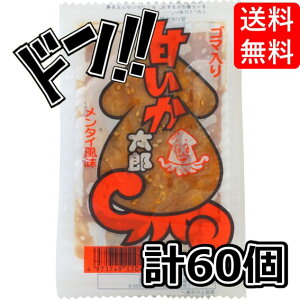 ÂY ^C 30 ×2Zbg ( ܂Ƃߔ 60 )ٓ  Vs Rrj  g V[g L` ߂񂽂 l  󂢂 ^  ̂܂ 