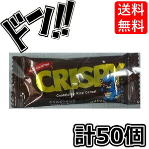 NXs[NX 50 TNTN ̗ǂ TCY NXs[NX`R  CXVA ~N`R ʉَq `R[gَq lC  ܂Ƃߔ  q 