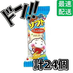 `Rƃ\tg 1×24 }V} `RN[ \tgN[̌` ii lC  Cxg q q p[eB[ َq ʉَq  v[g Mtg Ɩp p e