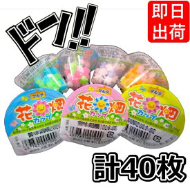 花畑カップ 10g×40袋 マルタ食品 ビビットカラーのプチカップ金平糖 駄菓子 お菓子 懐かしい 定番 大人気 イベント 景品 縁日 学祭 子供会 パーティー まとめ買い プレゼント お試し ポイント消化 ASMR