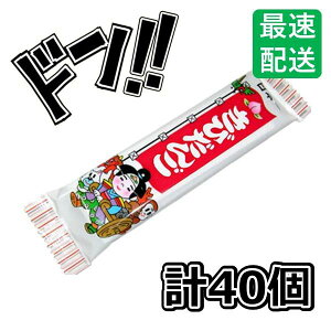 т 40 Y 킢pbP[W e َq q Cxg ii Ղ   ̑ zz čՂ ct ۈ牀 ≮ ʉَq 