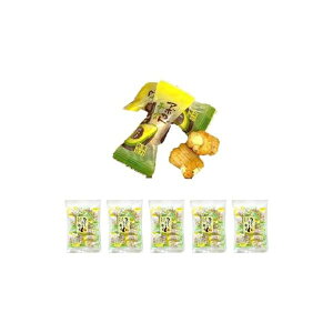 菤X A{Jh`[Y 5 i 42g   A{Jh `[Y ܂ Ɩp (A.5)