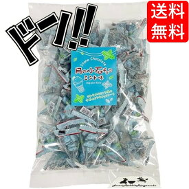 【5と0のつく日限定クーポンつき】タクマ食品 月の小石 チョコ ミント 味 1袋 50個 入り チョコレート お菓子 おやつ 駄菓子 チョコミント 詰め合わせ (1袋入り)