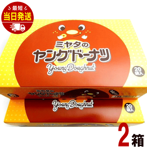 �{�c���� �~���^�̃����O�h�[�i�c 20�܁i1��4����j × 2���Z�b�g �Ɩ��p ��� �q�� �ʉَq ���َq �h�[�i�c �l�C ��� �q���� ������ ������ ���Ղ� �i�i
