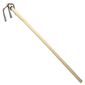 O{\L XeX o`^ 4ڕt No.81 ()RW}