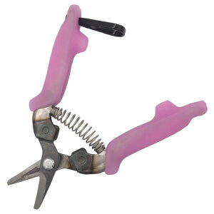 hN^[Jbg sN ₷ɂ|p͂