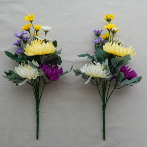   dp p  ފ     d  ԑ      d ͂Ȃ  @l\ ފ ~ Q r  