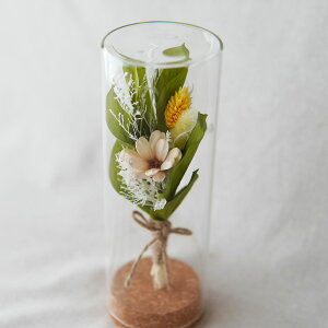 vU[uht[ hCt[ ԑ  a Vv {gt[ KX v[g d  jd LO v[g  ސE j  v[g Fl FB  j