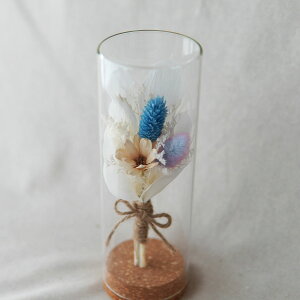 vU[uht[ hCt[ ԑ  a Vv {gt[ KX v[g d  jd LO v[g  ސE j  v[g Fl FB  j