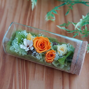 t[AW {gt[  v[g t[{g vU[uht[ av[g  Mtg j j  zj KX t[AW uU[