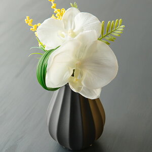 ͂Ȃ    ԕrZbg 䋟  dp ~      AWg  ߁@ybg dp d ͂Ȃ   l\ ފ V~ 