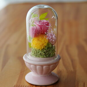  h[ vU[uht[ 䋟  dp ~       AWg  ybg d ͂Ȃ   l\ ފ V~ ~ 