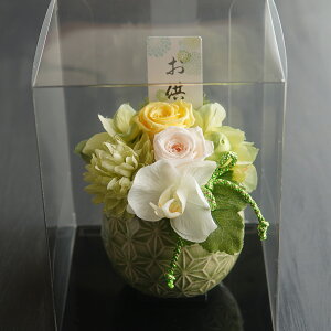  vU[uht[ ފ   dp 蕨 d     ݂̉ԁ@AWg@   ybg dp  d ͂Ȃ   l\