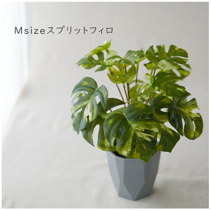  ϗtA@tFCNO[ CeAO[@~jϗt@~jTCY@@VSj[@yy~A@sA@ yFake greenz