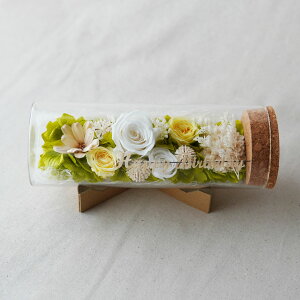 ͂Ȃ v[g {gt[ vU[uht[ a  KXh[ Mtg j j  zj  KX t[AW uU[ht[  