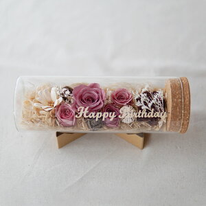 ͂Ȃ v[g {gt[ vU[uht[ a  KXh[ Mtg j j  zj  KX t[AW uU[ht[  