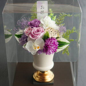     dp vU[uht[  t[AWg      d ͂Ȃ   l\ ފ V~ ~ ~ ~ r