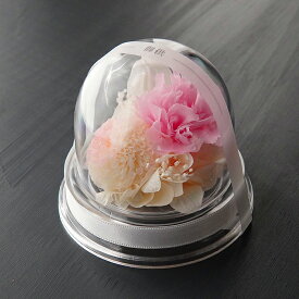 【在庫限りで販売終了】仏花 プリザーブドフラワー ドーム 仏壇用 お盆 お供え 花 お悔み 花 お悔やみ ペット お供え 虹の橋 手元供養 あす楽 仏壇用 お花 仏壇 枯れない 花 一周忌 四十九日 お彼岸 新盆 初盆 お花 ギフト 法事 ブリザードフラワー 仏花【小さなお供え】