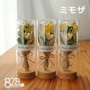 ミモザ ドライフラワー 花束 ブーケ スワッグ 小さめ 小さい コンパクト フラワーアレンジ 誕生日 プレゼント 結婚祝い 引越し祝い 御祝 お祝い お礼 結婚式 お礼 花ギフト 開店祝い 周年祝い 送別 お祝 花 誕生日祝い お店 妻 母 義母 女性 【ドライフラワーボトル】