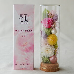 ������ ���� �v���U�[�u�h�t�����[ �䋟 �� ���d�p ���~ ������ �� ������ �� ������� �A�����W�����g ������ �y�b�g ���d�p ���_�� ���Ԃ� ���d �͂�Ȃ� �� ����� �l�\��� ���ފ� �V�~ ��