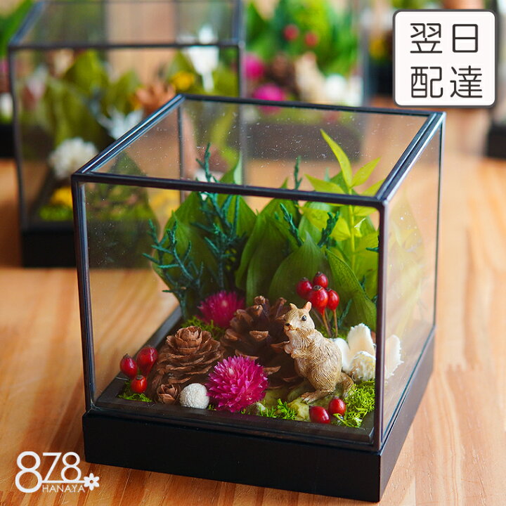 楽天市場 プリザーブド グリーン 森のアレンジ ガラスケース入り ボトルフラワー ガラスドーム 花以外 アレンジメント 植物 可愛い 花 フラワーアレンジ フラワーボトル 花 ギフト 変わり種 プレゼント 誕生日 花 変わった プレゼント 女性 彼女 友人 母 結婚記念日