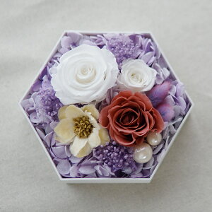   vU[uht[ P[X dp  Ԃ     AWg     d ͂Ȃ   l\ ~ V~ ~  M