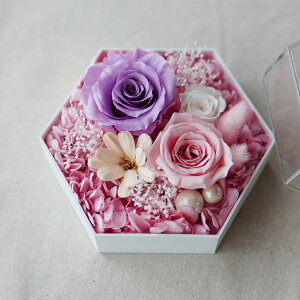   vU[uht[ P[X dp  Ԃ     AWg     d ͂Ȃ   l\ ~ V~ ~  M