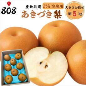 【送料無料】【産地厳選】訳有　あきづき梨　家庭用　大きさおまかせ　約5kg(北海道沖縄別途送料加算)