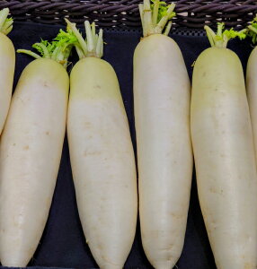 yʁzyɌYẑ卪@1{@1kgy؋lߍ킹ZbgƓőzy͒Ɍɂĕϓz