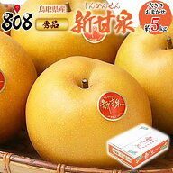 【送料無料】【鳥取県産】秀品 新甘泉　大きさお任せ 約5kg(北海道沖縄別途送料加算)