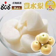 【送料無料】【産地厳選】訳あり　豊水梨　大きさおまかせ　約5kg(北海道沖縄別途送料加算)